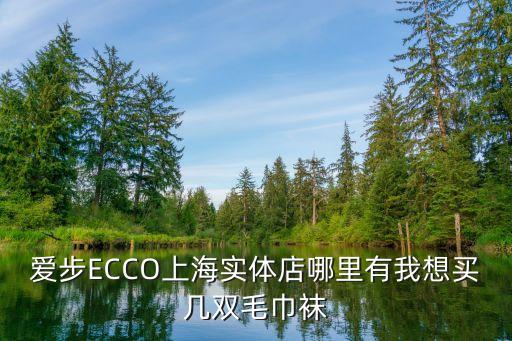 上海市愛步皮鞋專賣店，上海有哪幾個(gè)專柜是專賣lacoste鞋子的