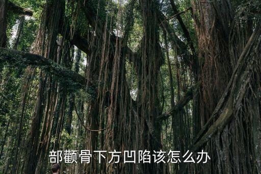顴骨凹陷，顴骨下方沒有肉呈凹陷狀態看起來顯老請問怎樣讓他飽滿起來