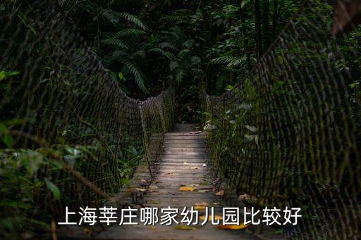 上海市莘莊幼兒園平陽分院，上海莘莊哪家幼兒園比較好