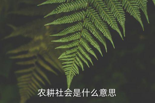 農耕，農耕社會是什么意思