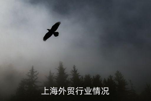 上海外貿(mào)行業(yè)情況