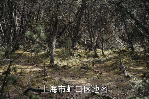 上海市區 鄉鎮 村衛星地圖，上海市虹口區地圖