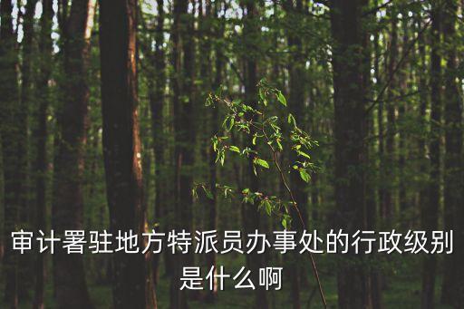審計署駐地方特派員辦事處的行政級別是什么啊