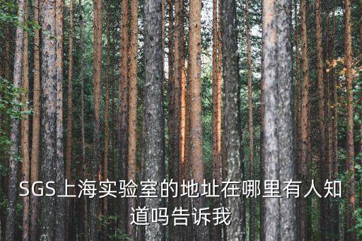 SGS上海實驗室的地址在哪里有人知道嗎告訴我