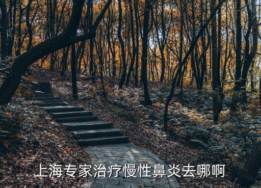 上海市五官科醫生龔嵐，上海鼻竇炎治專家