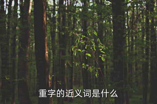 重字的近義詞是什么