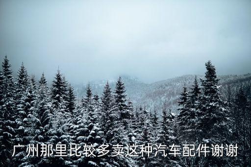 廣州五加五汽車配件，廣州那里比較多賣這種汽車配件謝謝