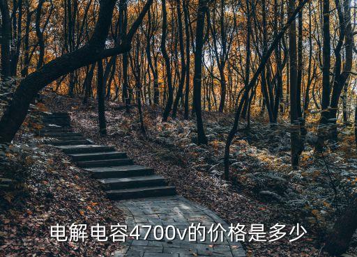 廣州高頻低阻鋁電解電容多少錢，220u35v的電解電容多少錢