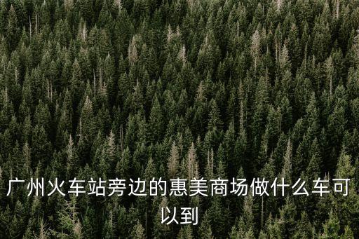 廣州火車站旁邊的惠美商場做什么車可以到