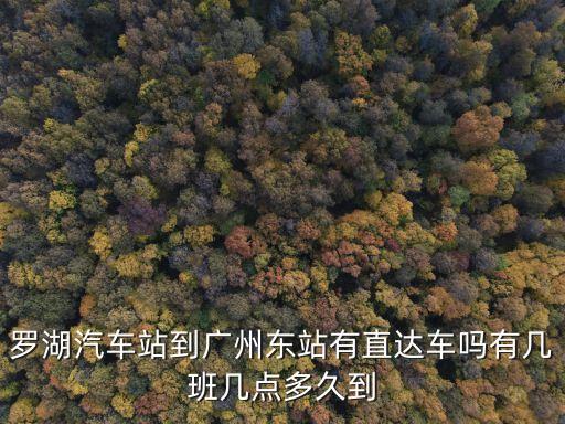 深圳羅湖有到廣州東站的汽車嗎，深圳羅湖到廣州東站最晚一班是什么時候要最近的時刻表