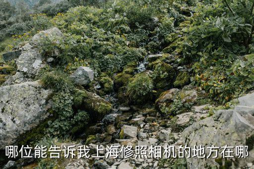 哪位能告訴我上海修照相機的地方在哪