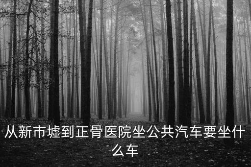 廣州正骨醫院到新市墟，從新市墟到正骨醫院坐公共汽車要坐什么車