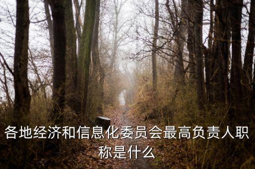 上海市經(jīng)信委委內(nèi)領(lǐng)導(dǎo)，各地經(jīng)濟(jì)和信息化委員會(huì)最高負(fù)責(zé)人職稱是什么