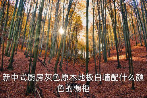新中式廚房，新中式風(fēng)格裝修廚房推開(kāi)門(mén)安裝什么顏色