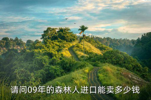 上海市二手森林人價格，09年25XS森林人150000公里能賣多少錢