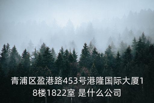 青浦區盈港路453號港隆國際大廈18樓1822室 是什么公司