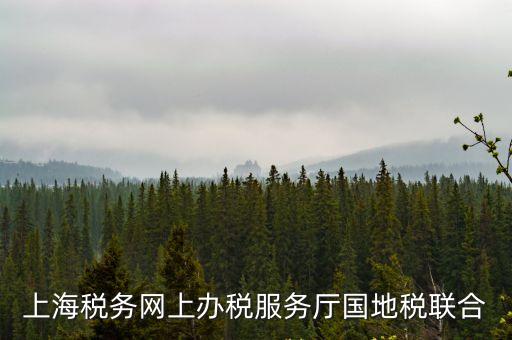 上海稅務網上辦稅服務廳國地稅聯合