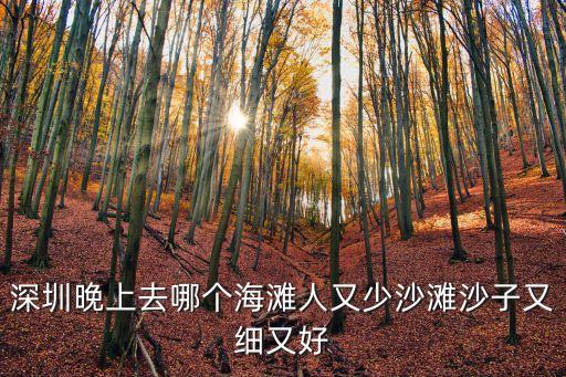 深圳晚上去哪個(gè)海灘人又少沙灘沙子又細(xì)又好