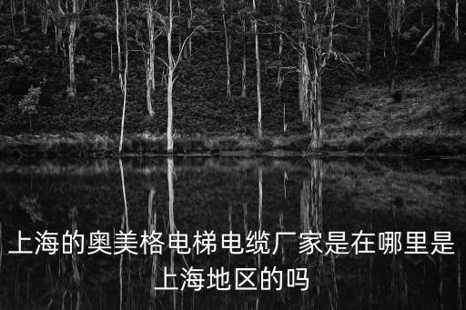 上海的奧美格電梯電纜廠家是在哪里是上海地區的嗎