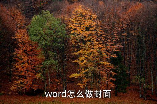 word封面怎么制作，word怎么加封面