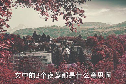 文中的3個夜鶯都是什么意思啊