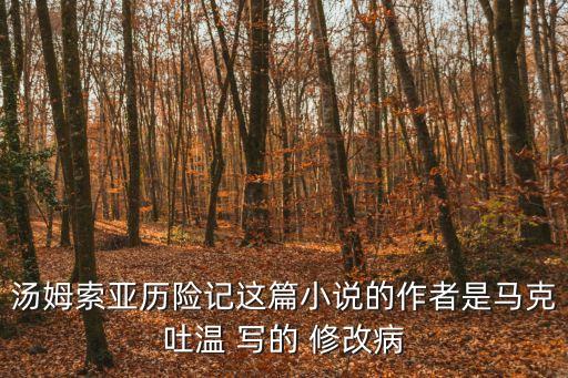 湯姆索亞歷險記作者，湯姆 索亞歷險記的作者是