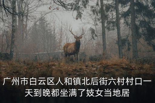 廣州市白云區(qū)人和鎮(zhèn)北后街六村村口一天到晚都坐滿了妓女當(dāng)?shù)鼐? class=