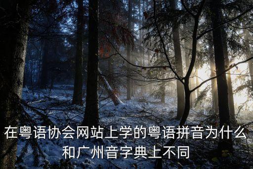 在粵語協(xié)會網(wǎng)站上學(xué)的粵語拼音為什么和廣州音字典上不同