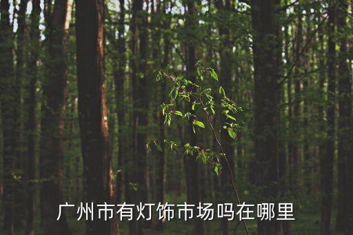 廣州市有燈飾市場嗎在哪里