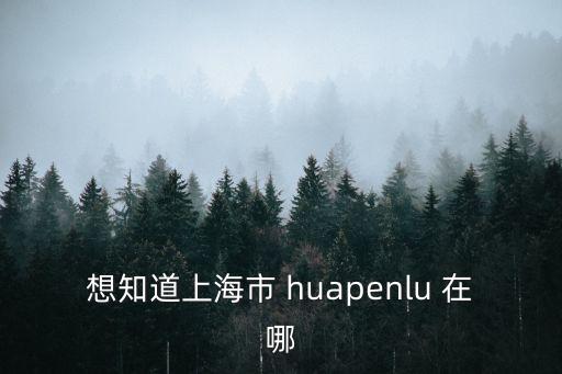 想知道上海市 huapenlu 在哪