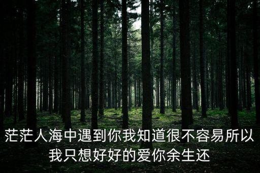 茫茫人海中遇到你我知道很不容易所以我只想好好的愛(ài)你余生還