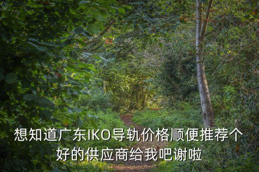 想知道廣東IKO導(dǎo)軌價格順便推薦個好的供應(yīng)商給我吧謝啦
