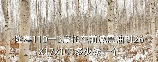 隆鑫110一3摩托車前減震油封26X17x103多少錢一個