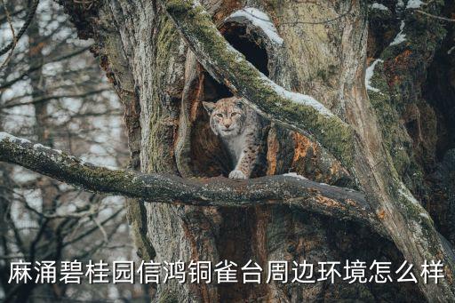麻涌碧桂園信鴻銅雀臺周邊環(huán)境怎么樣