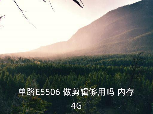 單路E5506 做剪輯夠用嗎 內存4G