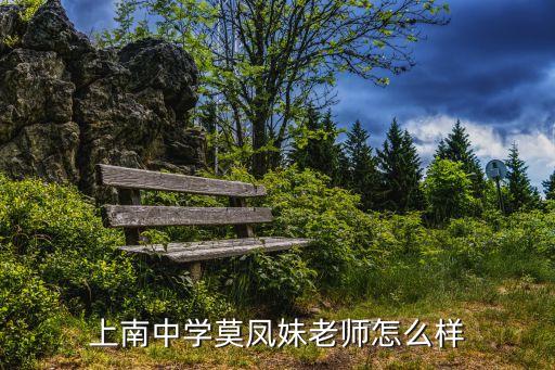 上南中學(xué)莫鳳妹老師怎么樣