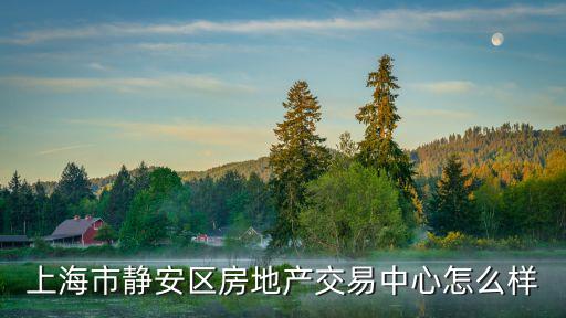 上海市房地產(chǎn)交易中心 待遇怎么樣，上海市靜安區(qū)房地產(chǎn)交易中心怎么樣