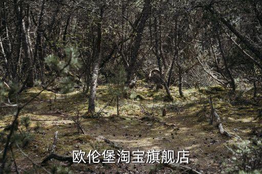 歐倫堡，歐倫堡歐倫堡皮鞋怎么樣