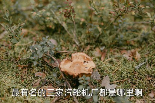 上海市汽輪機廠歷史，中國三大汽輪機廠是哪幾家