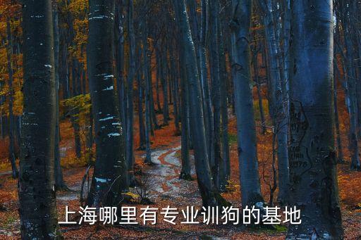 上海哪里有專業訓狗的基地
