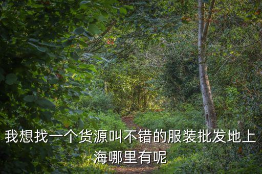 我想找一個貨源叫不錯的服裝批發地上海哪里有呢