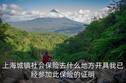 上海市個人參保證明，本人在上海上班想問一下社保參保證明要怎么開呢