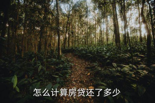 還款計算，怎么計算房貸還了多少