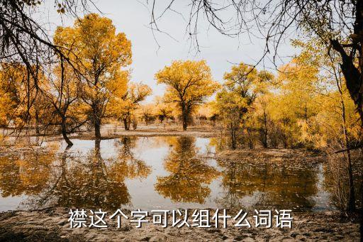襟這個字可以組什么詞語