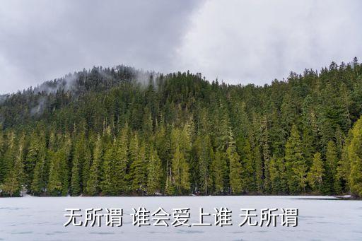 楊坤無所謂廣州發布會，無所謂你會愛上誰 這是那首歌的