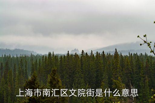 上海市南匯區文院街是什么意思