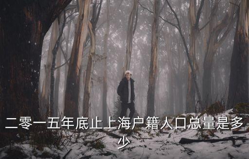 上海市每年的戶籍幼兒數(shù)量，小學(xué)數(shù)學(xué)題 截至2011年末上海市戶籍人口總數(shù)為141936萬(wàn)人比上
