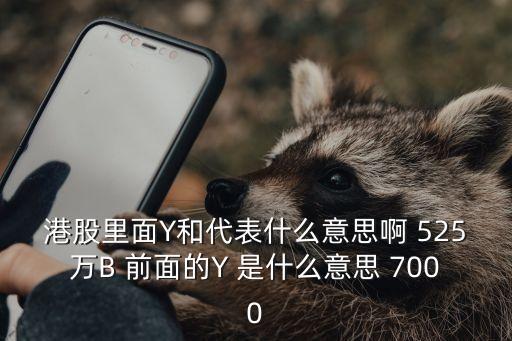 港股里面Y和代表什么意思啊 525萬(wàn)B 前面的Y 是什么意思 7000