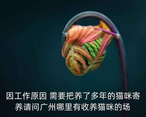 廣州有救助家貓的機構(gòu)嗎，請問廣州那里有流浪貓狗的收容中心呢