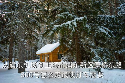 從浦東機場到上海市浦東新區康橋東路800號怎么走最快打車需要
